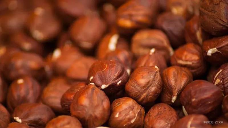 Fındık Piyasasında Adil Rekabet İçin Sıkı Takip: Ferrero ve Yerel Alıcılara Soruşturma