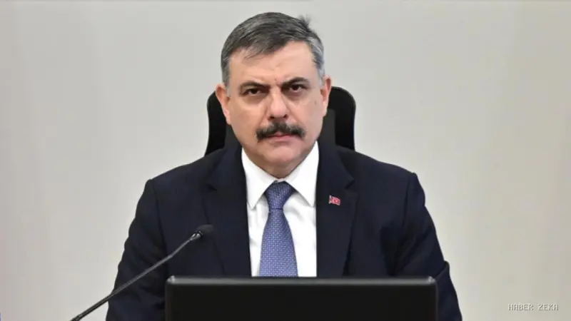 İçişleri Bakanı Çiftçi: Sahipsiz Sokak Hayvanları Konusunda Türkiye Tamamlandı