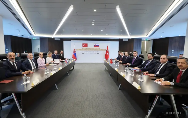 Türkiye ile Slovakya arasında enerji alanında iş birliği